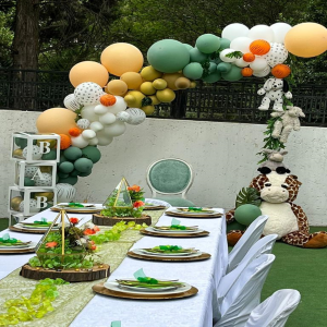 Conferences and Meetings